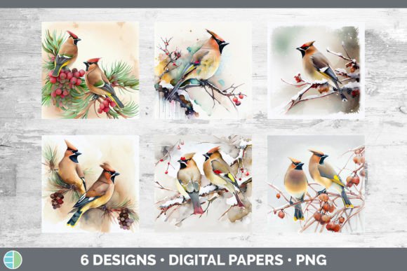 Christmas Cedar Waxwing Backgrounds Di: A Review for Digital Sellers