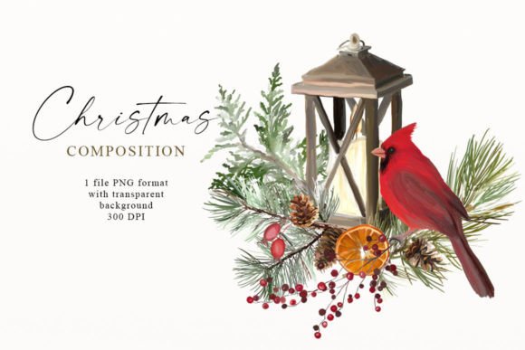 Christmas Composition with Cardinal Bird Illustration Review