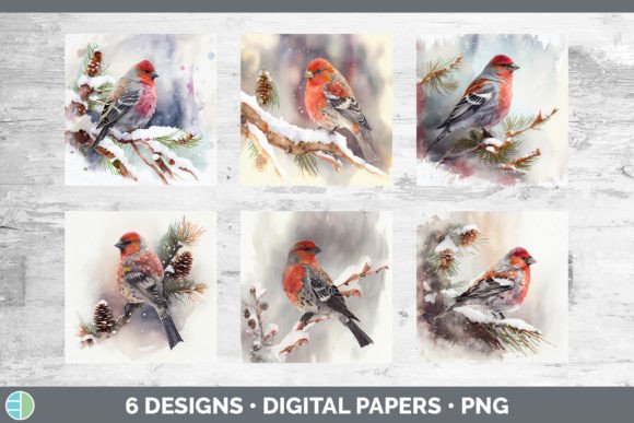 Christmas Pine Grosbeak Backgrounds Di Illustrations